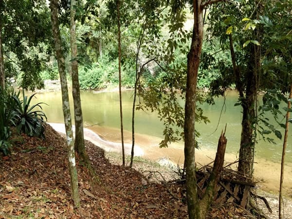 Maravilhoso Terreno  às Margens do Rio Macaé